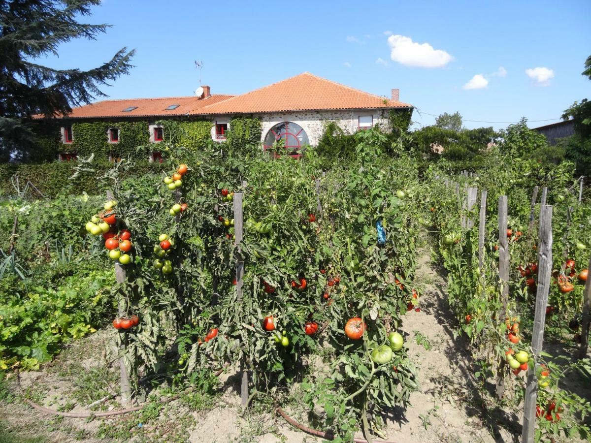 La Ferme De Rouffignac Otel Blanzac  Dış mekan fotoğraf